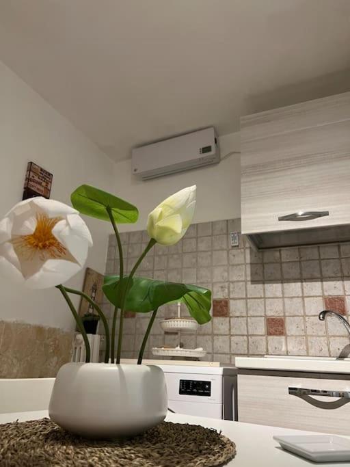 Casa Vacanze “Da Concetta” Bari Bagian luar foto